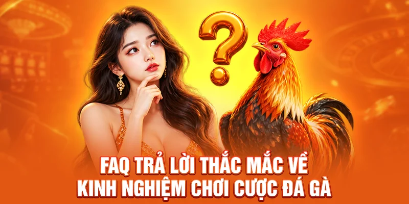 FAQ trả lời thắc mắc về kinh nghiệm chơi cược đá gà