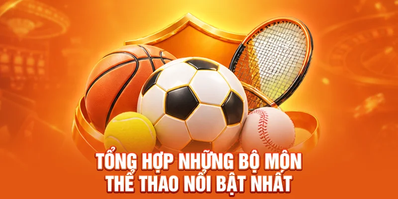 Tổng hợp những bộ môn thể thao nổi bật nhất  